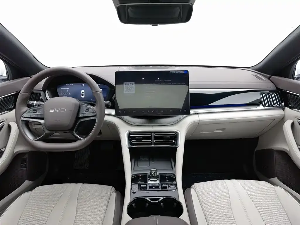 BYD PLUS New Energy 2025 из CN, фото 5