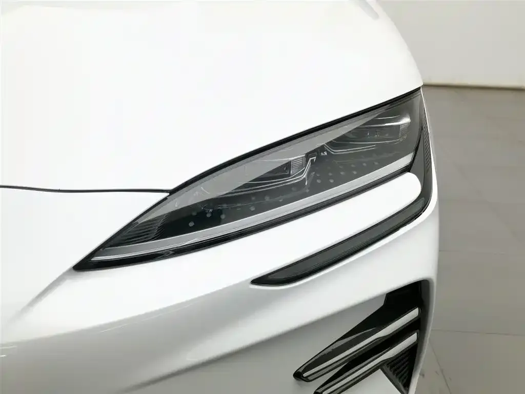 BYD PLUS New Energy 2025 из CN, фото 4