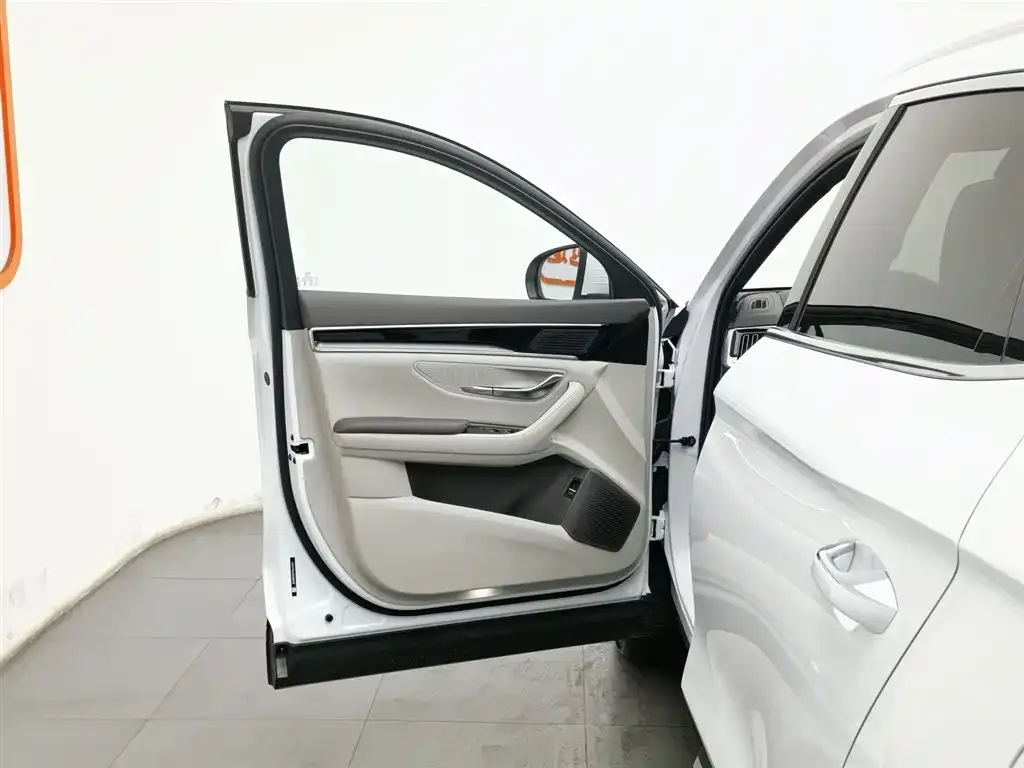 BYD PLUS New Energy 2025 из CN, фото 10