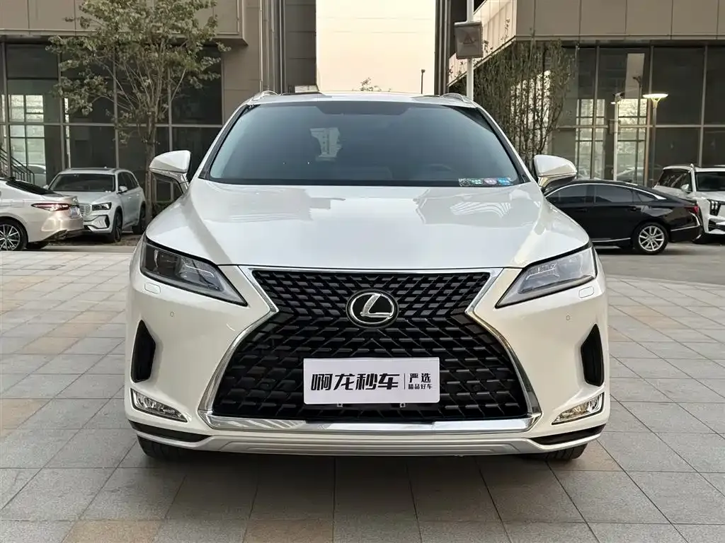 Lexus RX 2021 из CN, фото 6