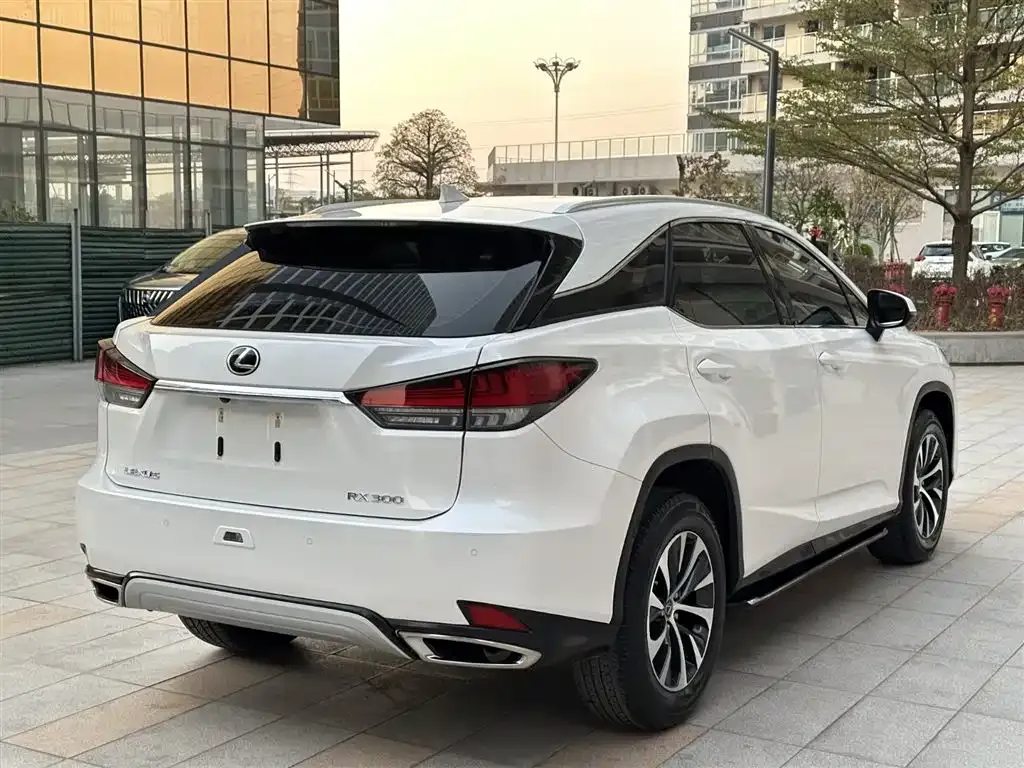 Lexus RX 2021 из CN, фото 7