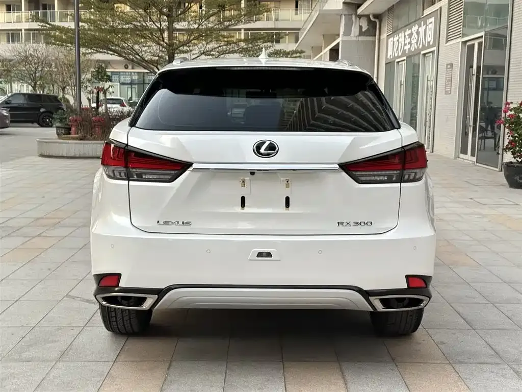 Lexus RX 2021 из CN, фото 9