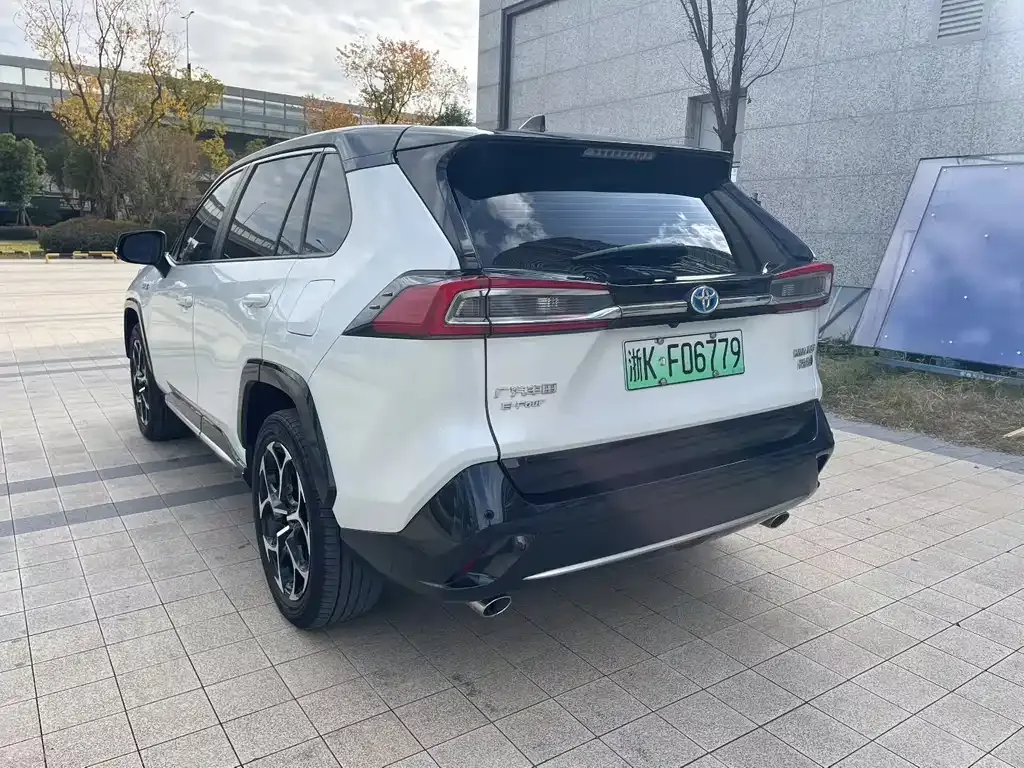 Toyota Wildlander New Energy 2021 из CN, фото 7