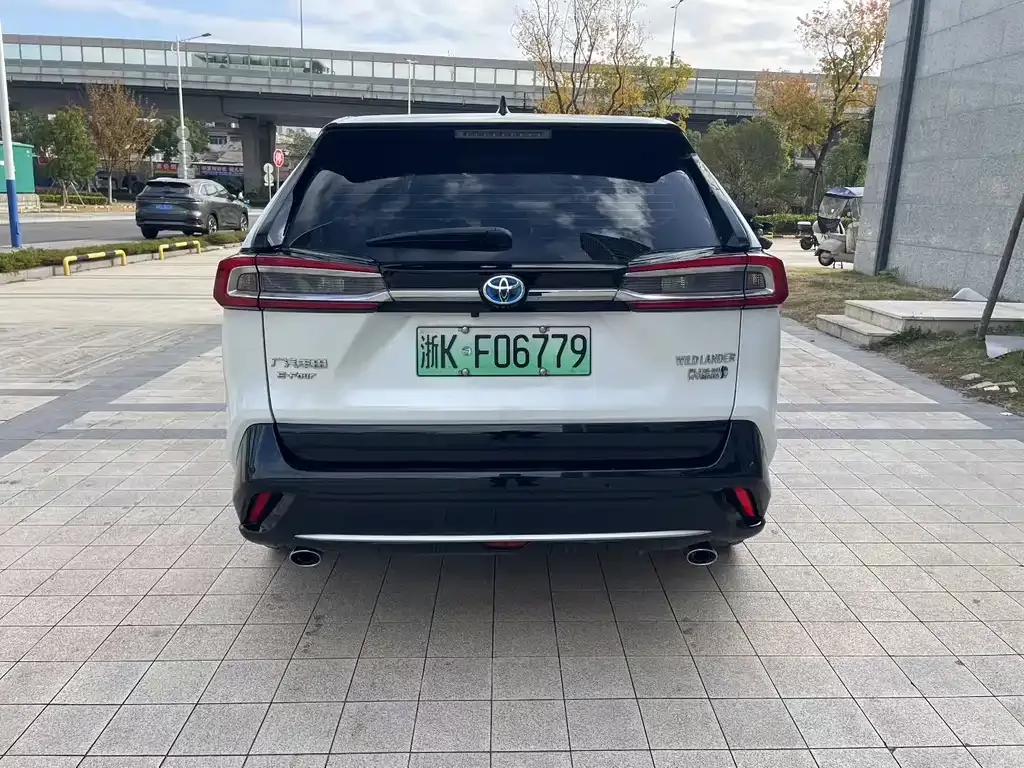 Toyota Wildlander New Energy 2021 из CN, фото 8