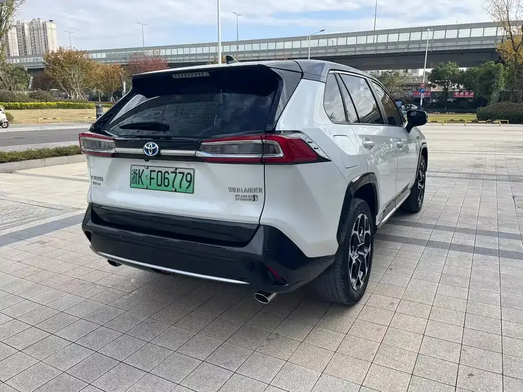 Toyota Wildlander New Energy 2021 из CN, фото 9