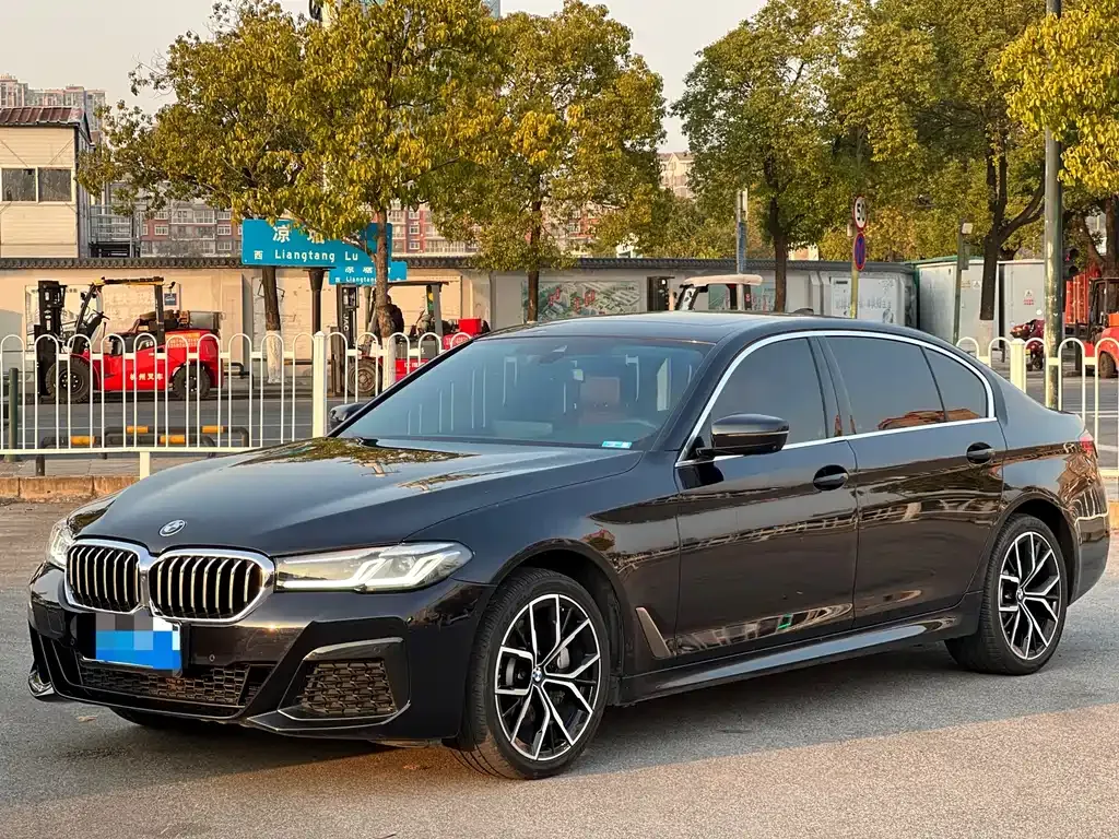 BMW 5 Series 2021 из CN, фото 1