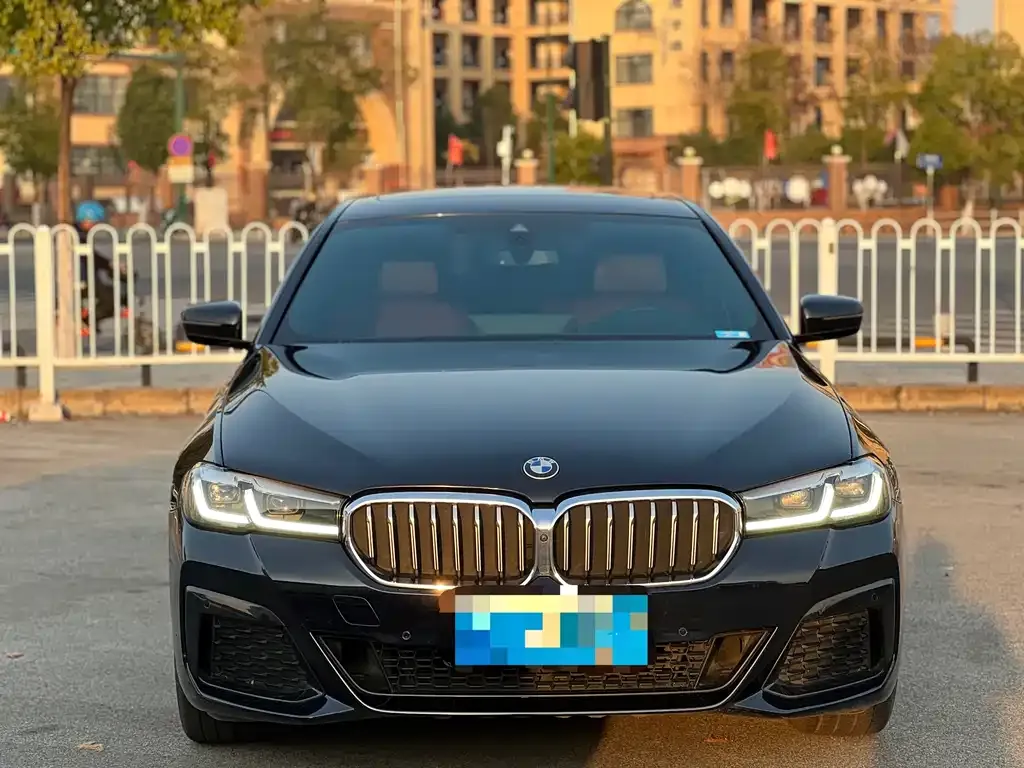 BMW 5 Series 2021 из CN, фото 4