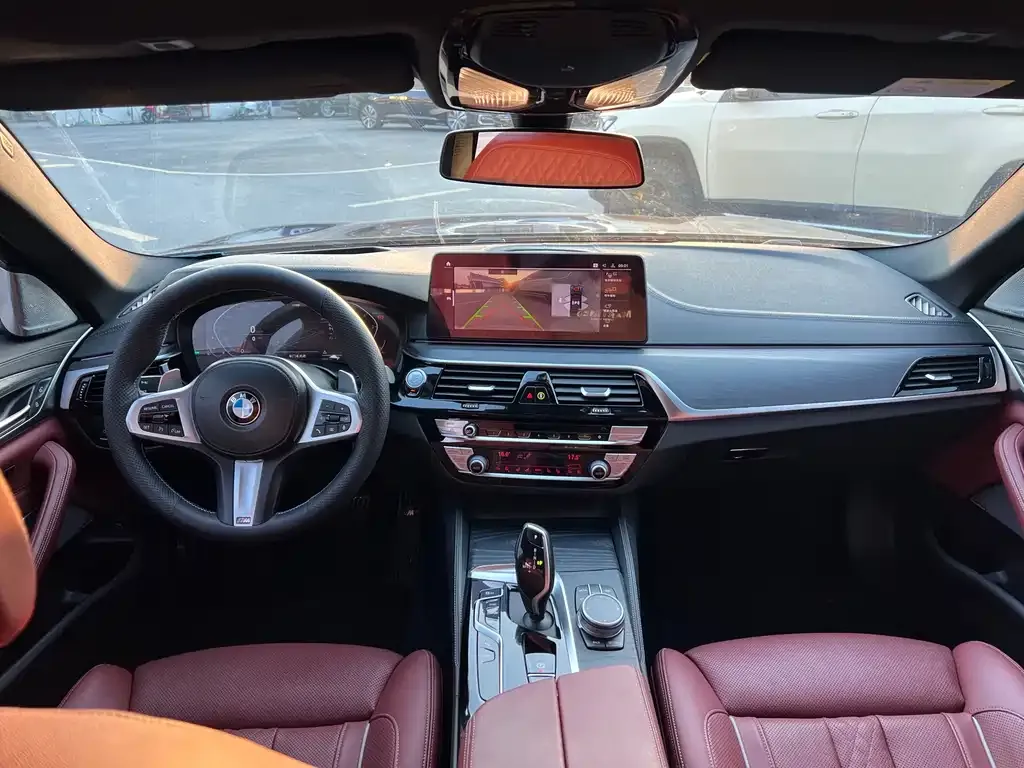 BMW 5 Series 2021 из CN, фото 8