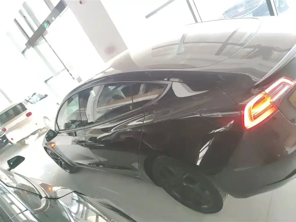 Tesla Model 3 2021 из CN, фото 4