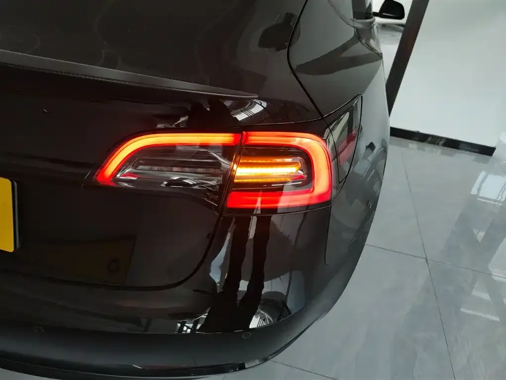 Tesla Model 3 2021 из CN, фото 5