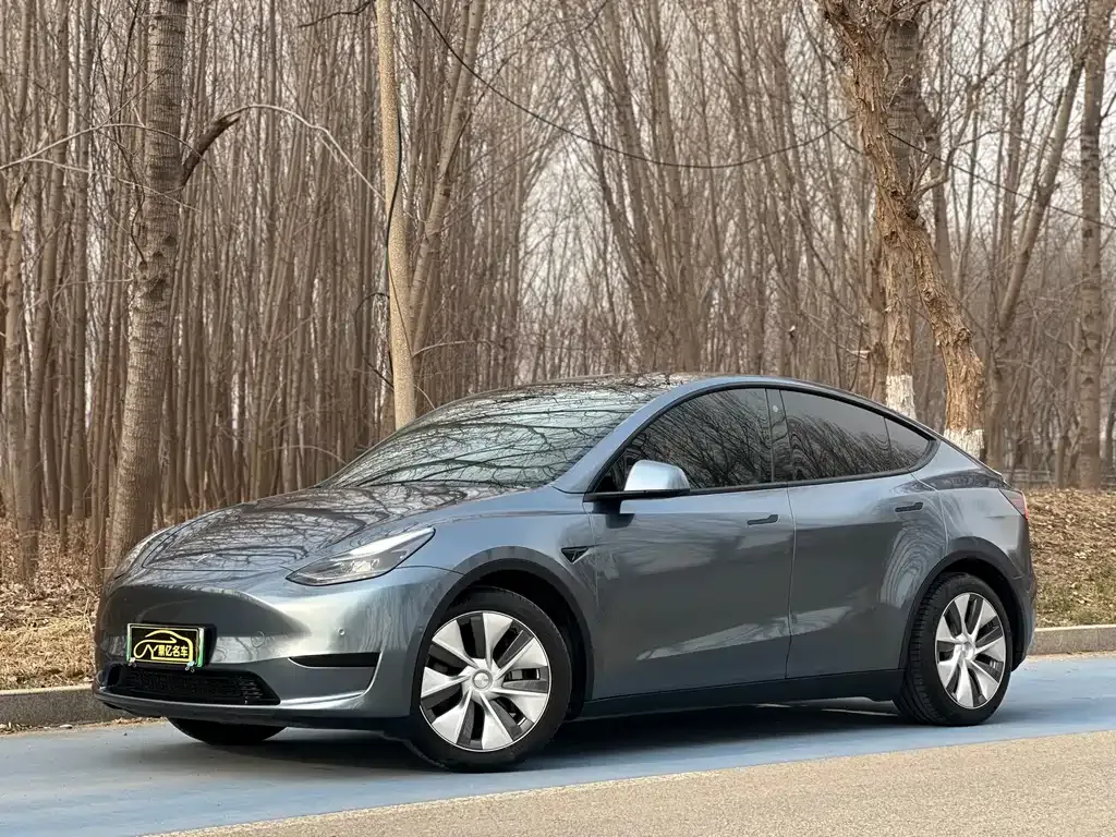 Tesla Model Y — фото 1