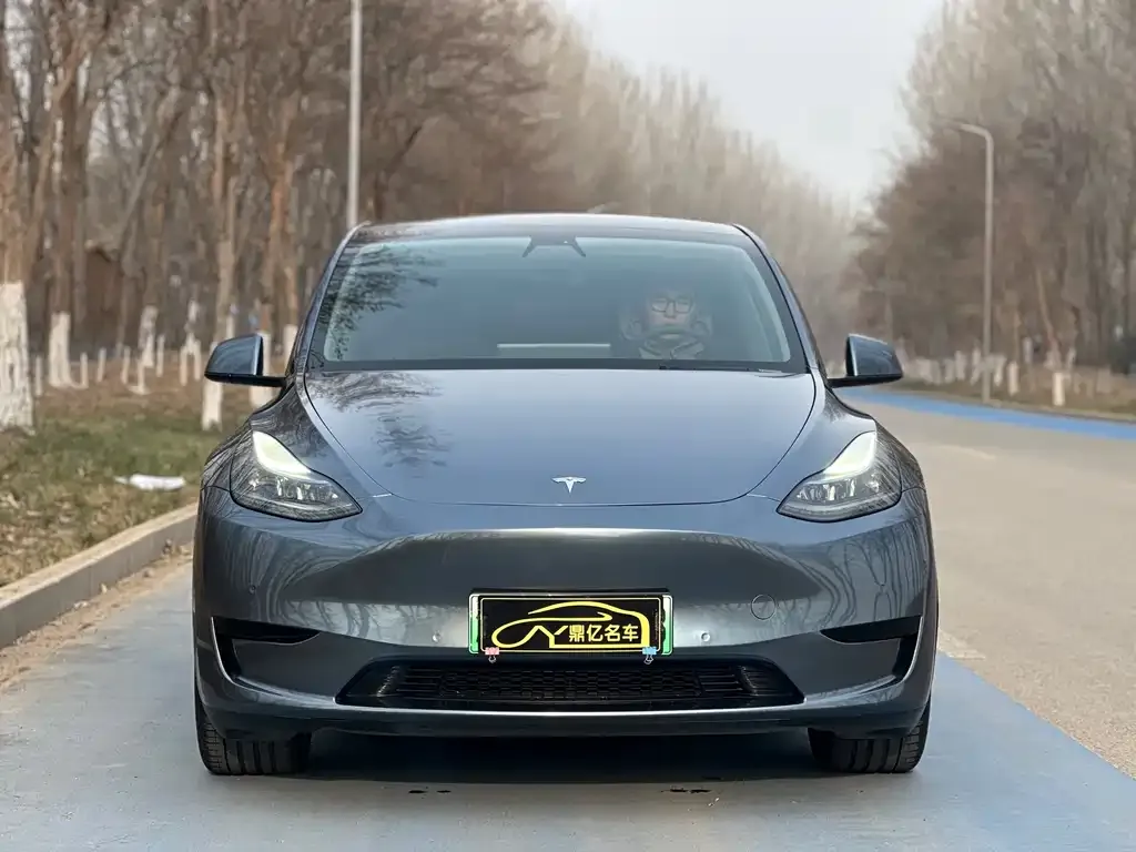 Tesla Model Y — фото 3