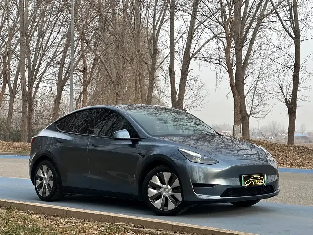 Tesla Model Y — фото 9