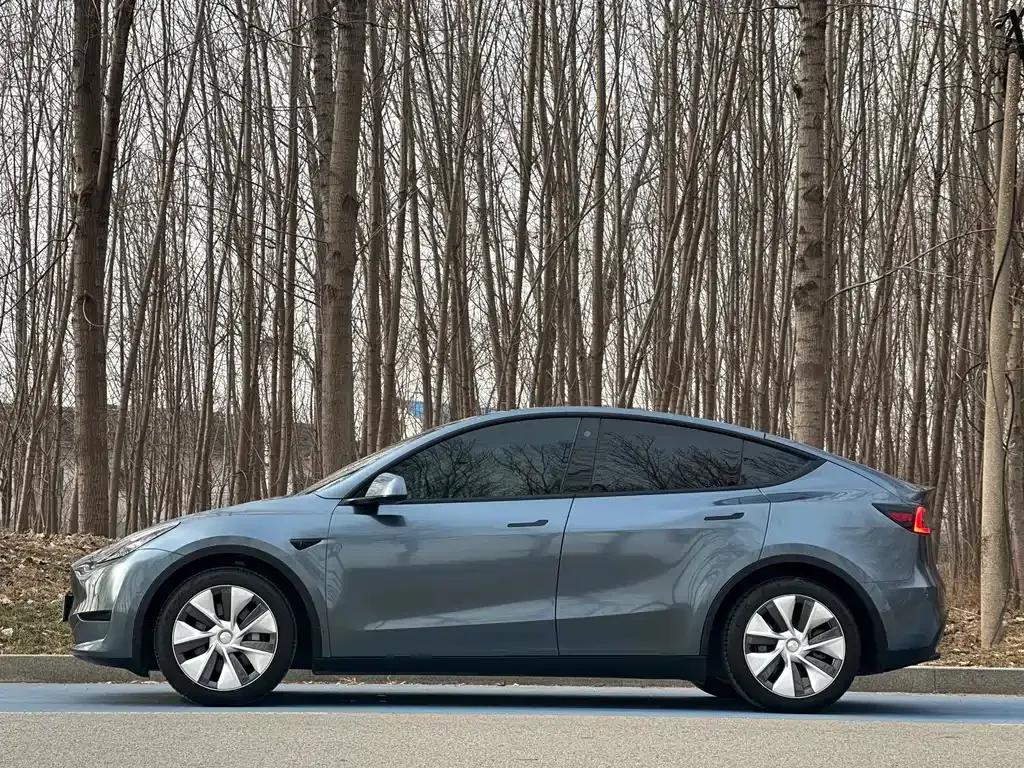 Tesla Model Y — фото 10