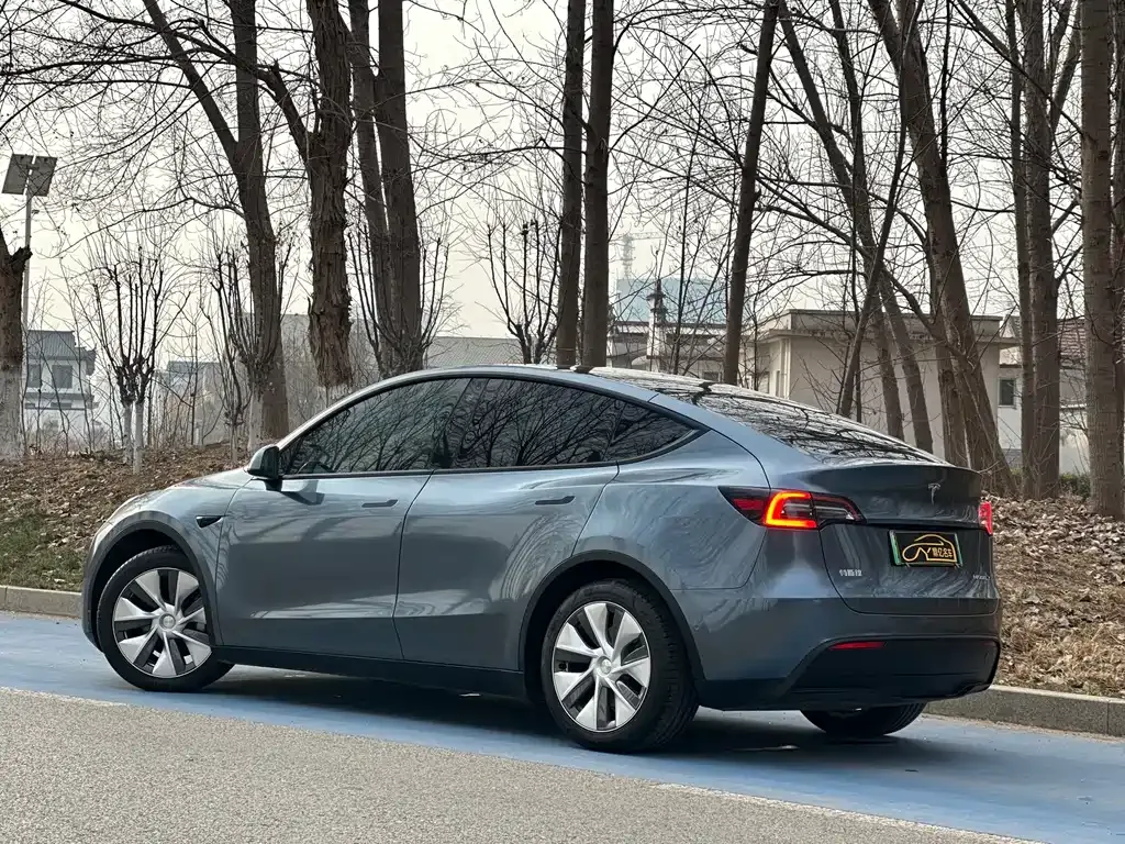 Tesla Model Y — фото 8
