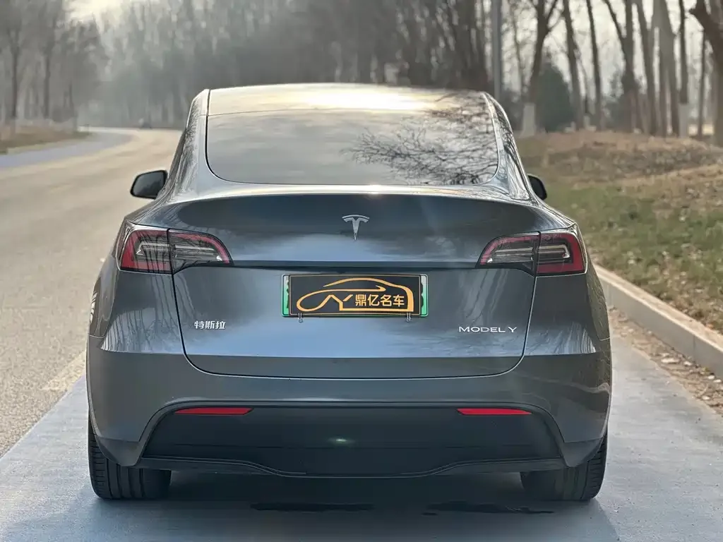 Tesla Model Y — фото 2