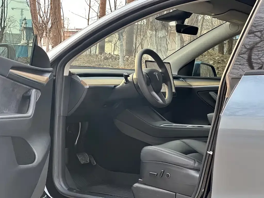 Tesla Model Y — фото 6