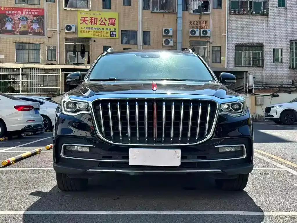 Hongqi HS7 2023 из CN, фото 4