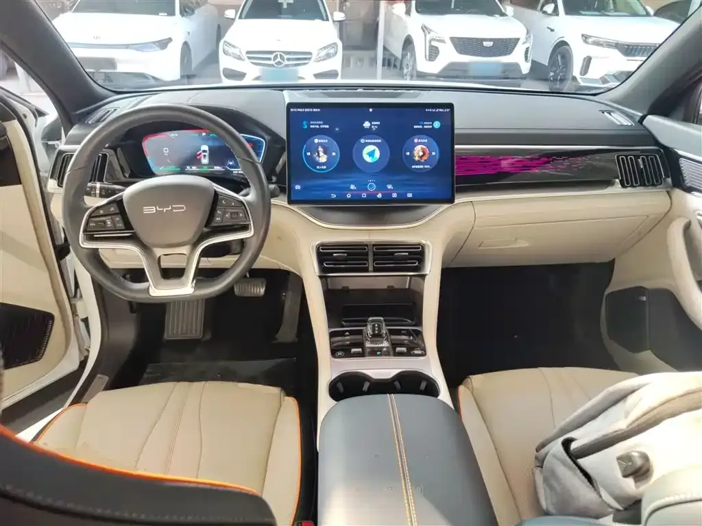 BYD PLUS New Energy 2023 из CN, фото 10