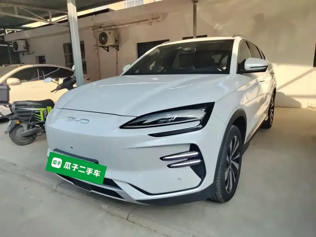 BYD PLUS New Energy 2023 из CN, фото 2
