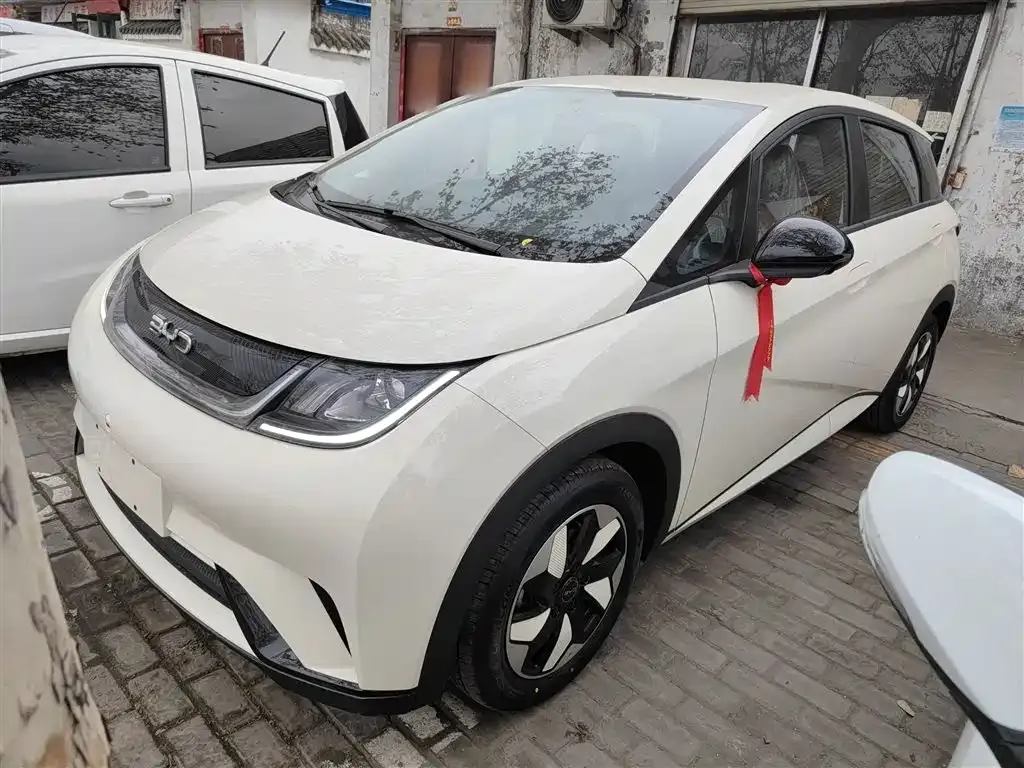 BYD Dolphin 2025 из CN, фото 1