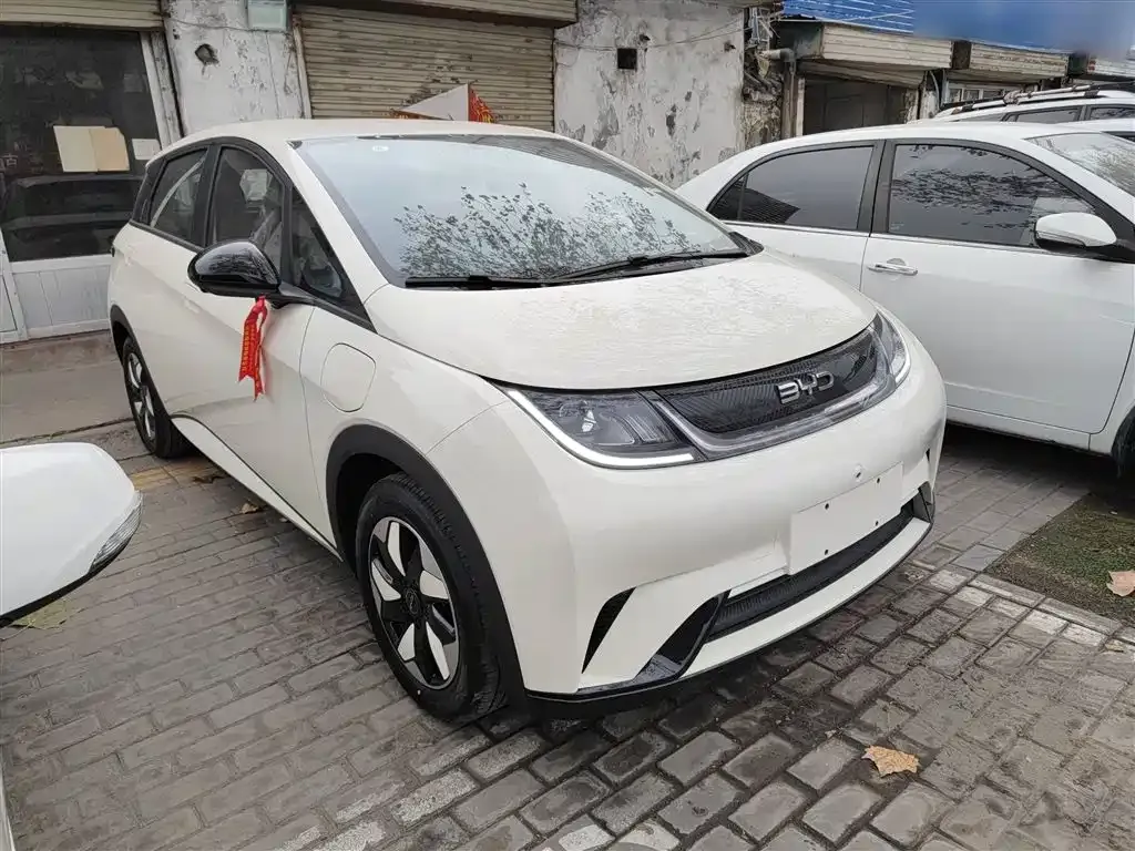 BYD Dolphin 2025 из CN, фото 3