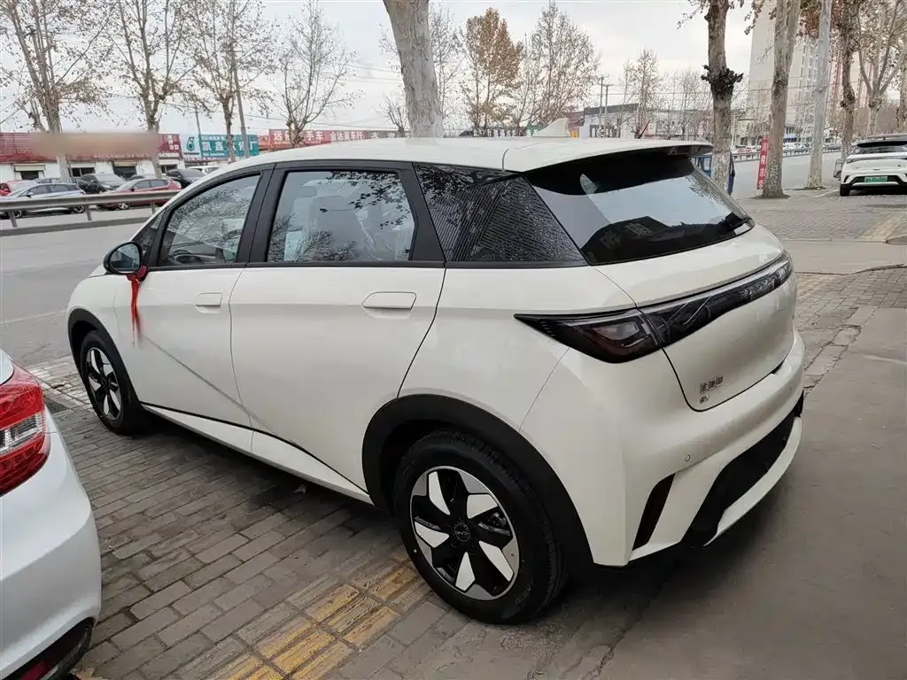 BYD Dolphin 2025 из CN, фото 8