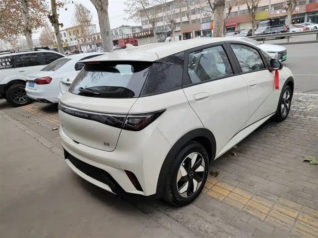 BYD Dolphin 2025 из CN, фото 10