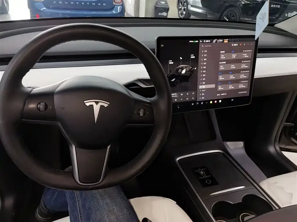 Tesla Model Y 2022 из CN, фото 5