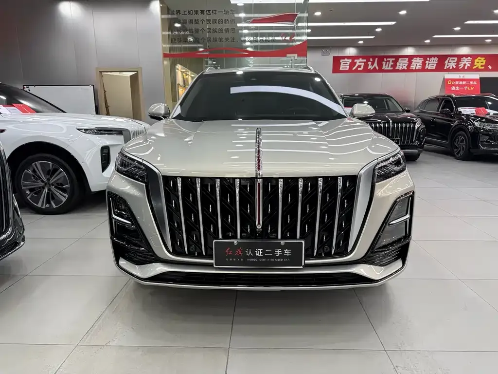 Hongqi HS5 2024 из CN, фото 10