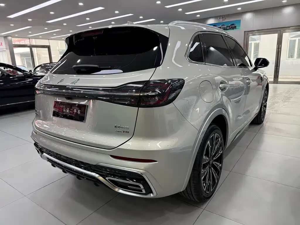 Hongqi HS5 2024 из CN, фото 7