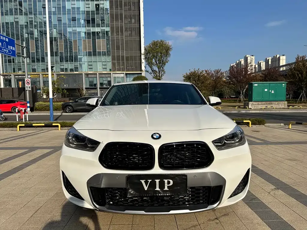 BMW X2 2023 из CN, фото 1