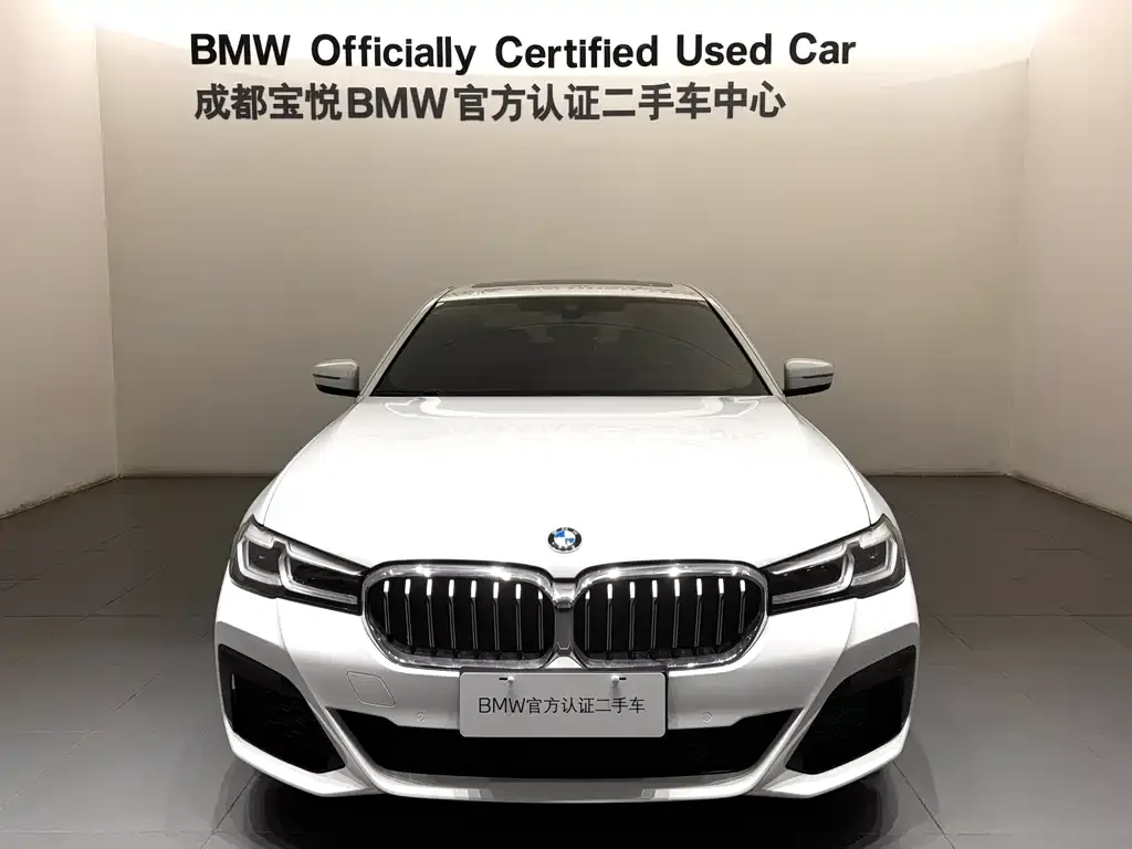 BMW 5 Series (Import) — фото 6