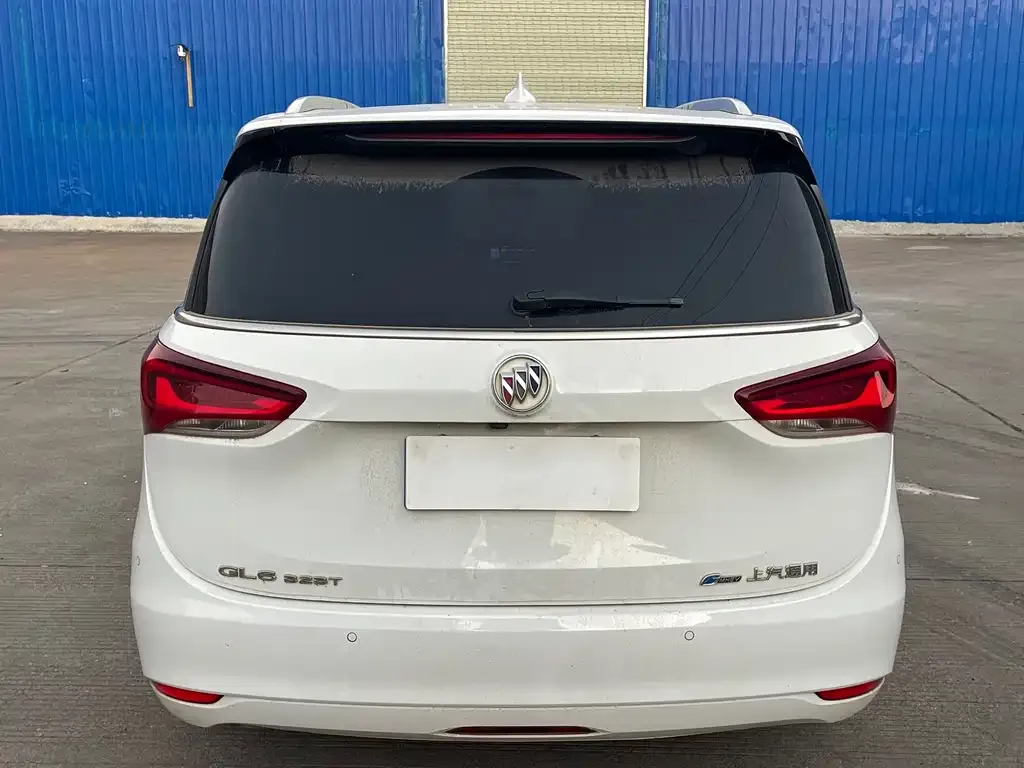 Buick GL6 2022 из CN, фото 4