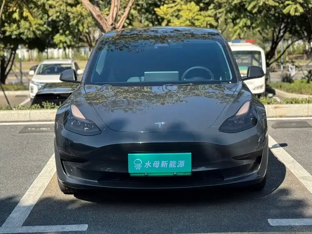 Tesla Model 3 2023 из CN, фото 2