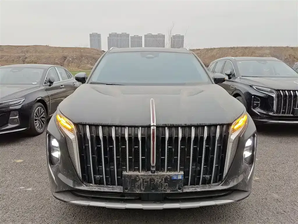 Hongqi HS7 PHEV 2025 из CN, фото 7