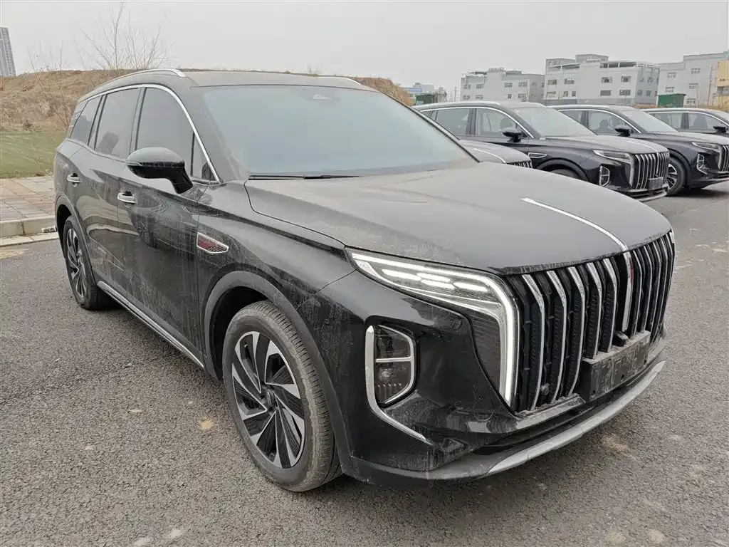 Hongqi HS7 PHEV 2025 из CN, фото 9