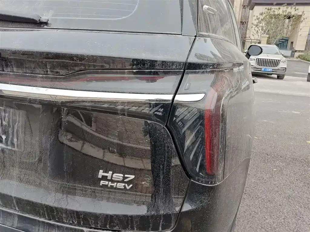 Hongqi HS7 PHEV 2025 из CN, фото 8