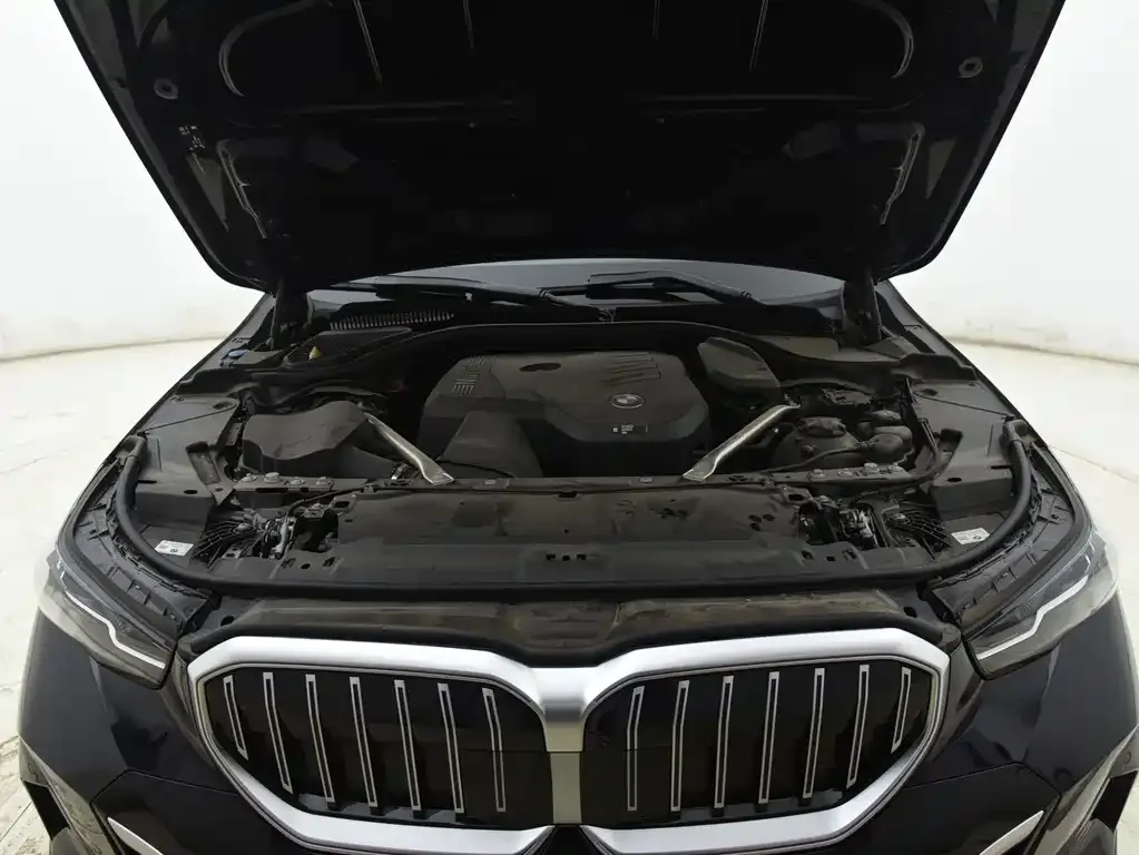 BMW 5 Series 2025 из CN, фото 10