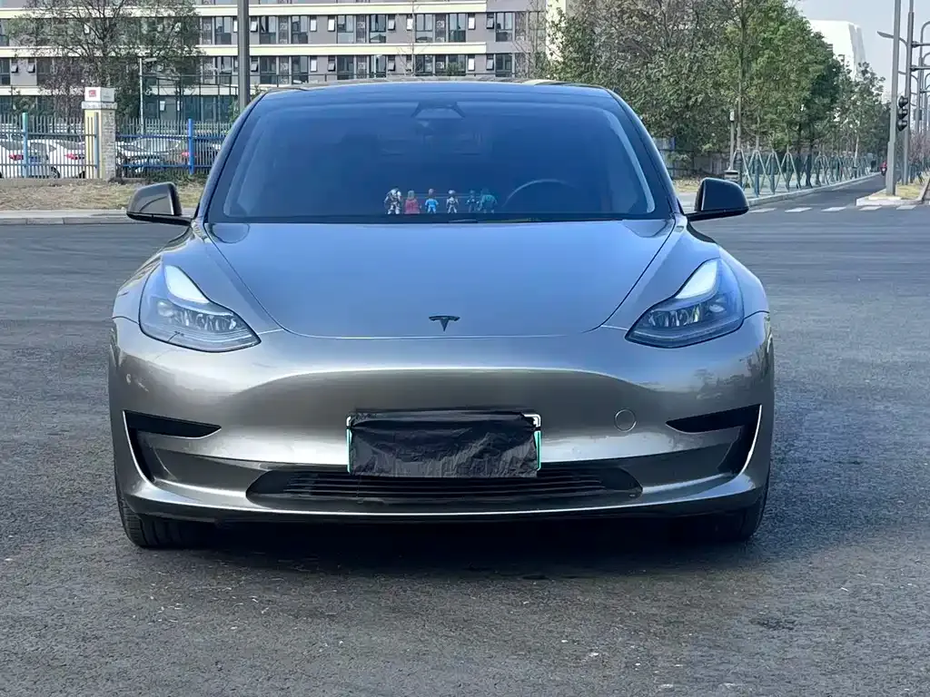 Tesla Model 3 2021 из CN, фото 2