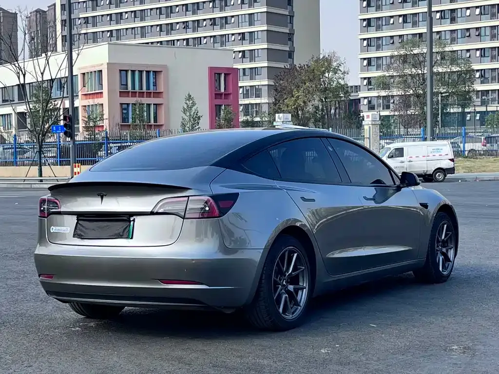 Tesla Model 3 2021 из CN, фото 4