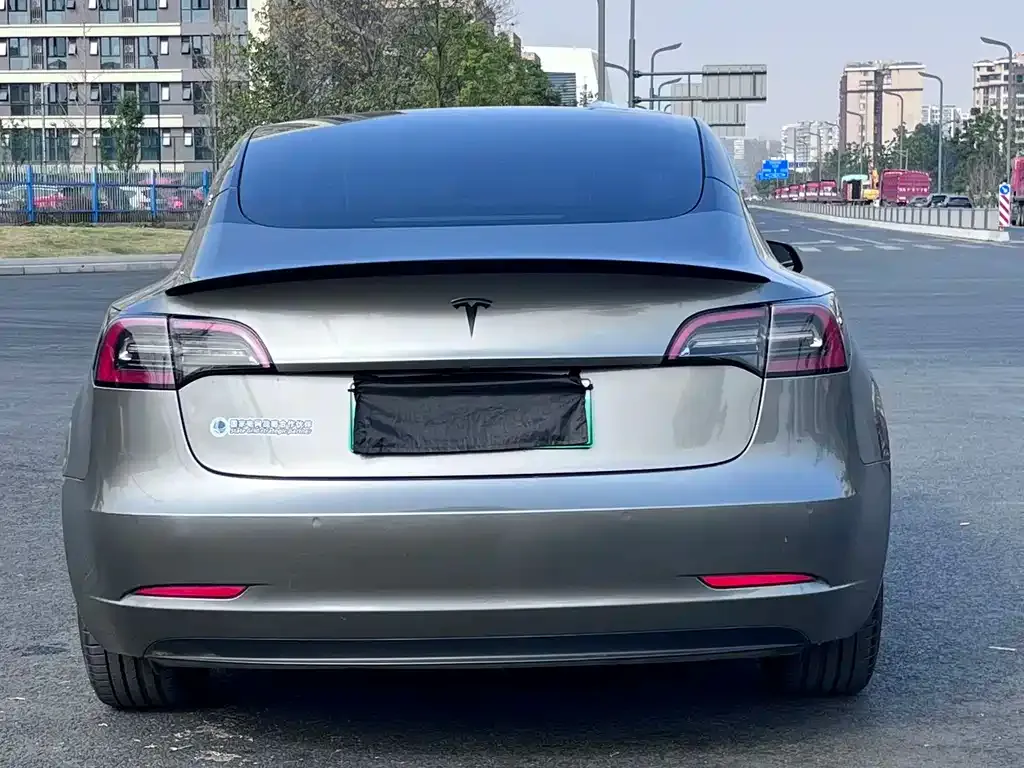 Tesla Model 3 2021 из CN, фото 5