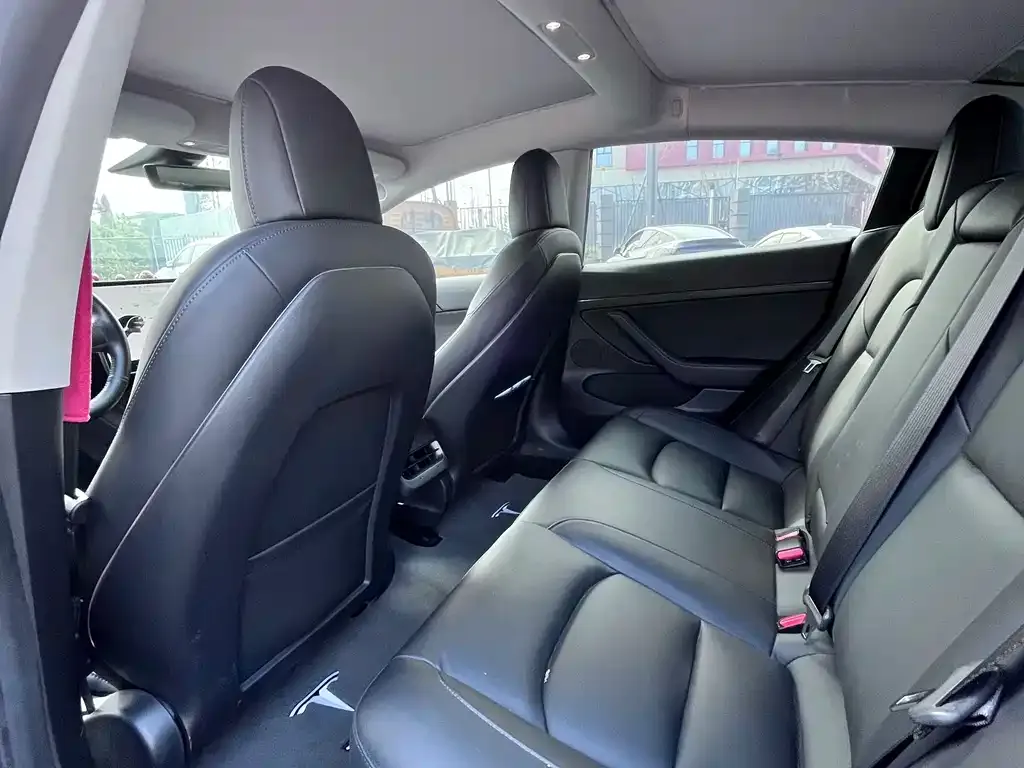 Tesla Model 3 2021 из CN, фото 7