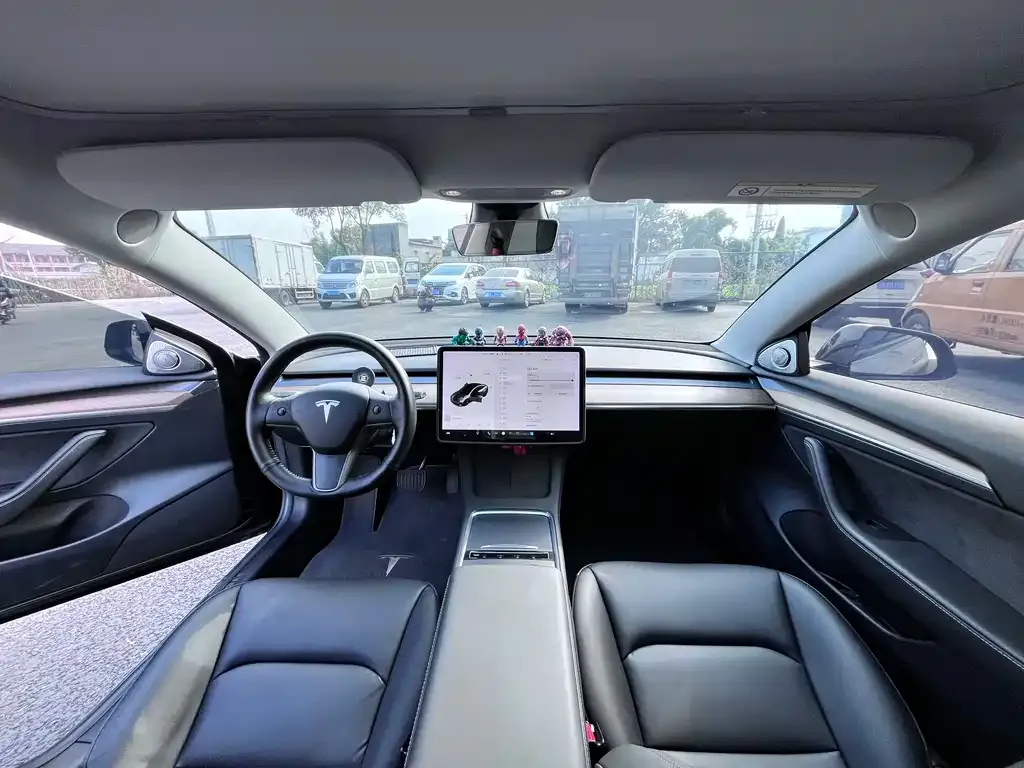Tesla Model 3 2021 из CN, фото 8