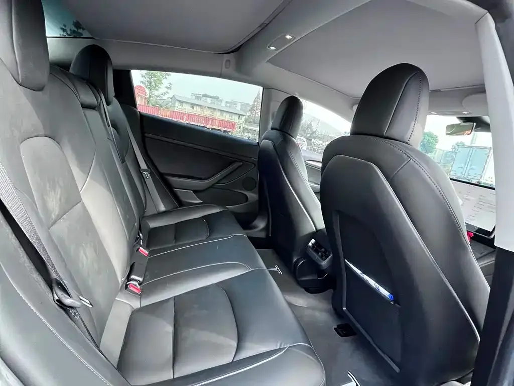 Tesla Model 3 2021 из CN, фото 9
