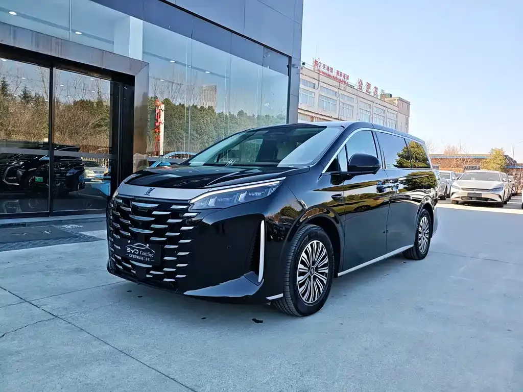 BYD Xia 2025 из CN, фото 1