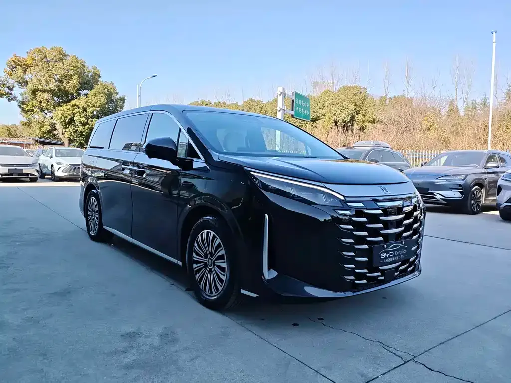 BYD Xia 2025 из CN, фото 5