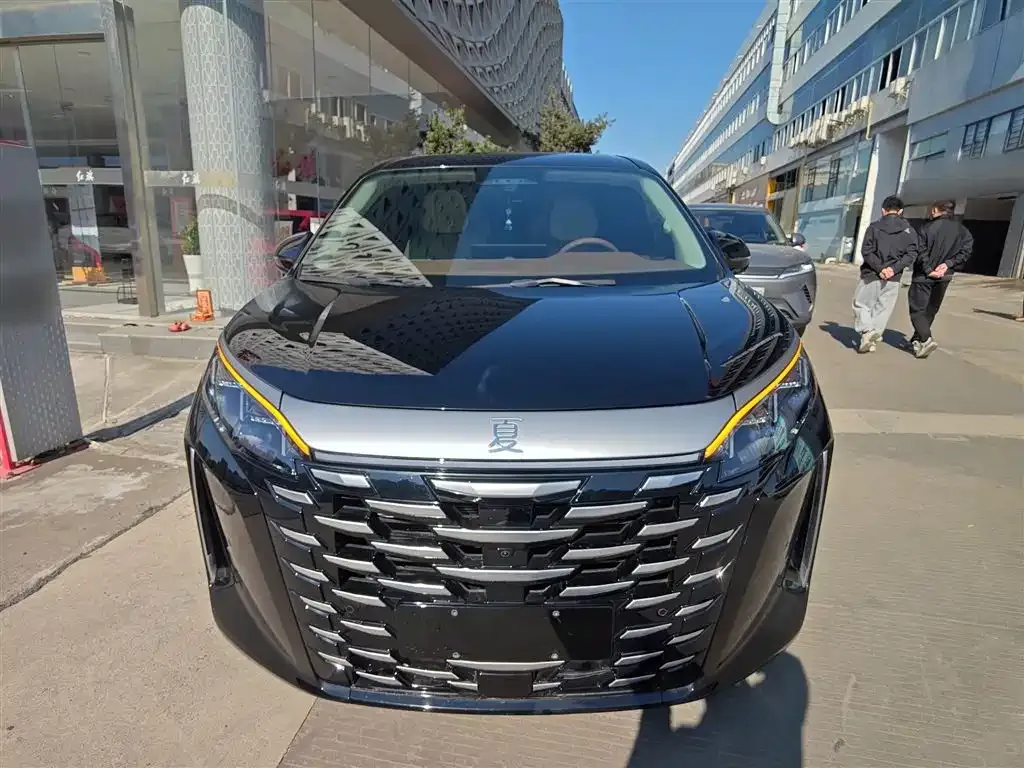 BYD Xia 2025 из CN, фото 6