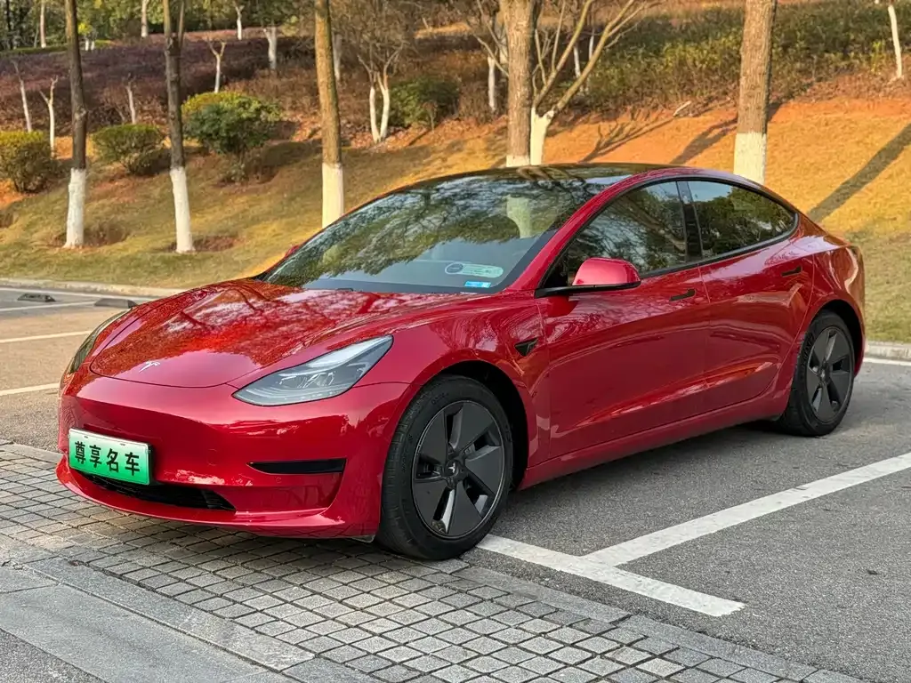 Tesla Model 3 2021 из CN, фото 1