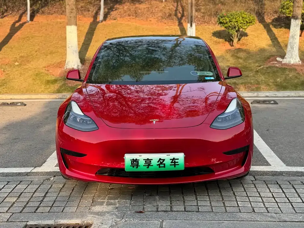 Tesla Model 3 2021 из CN, фото 5